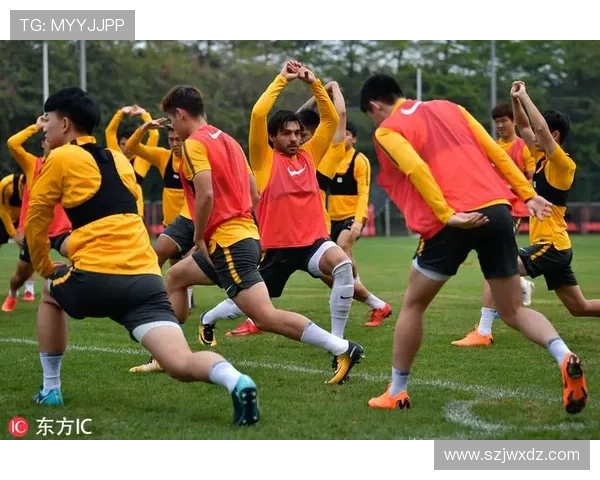 全方位解析各类体育比赛规则与技巧，助你轻松掌握竞技精髓